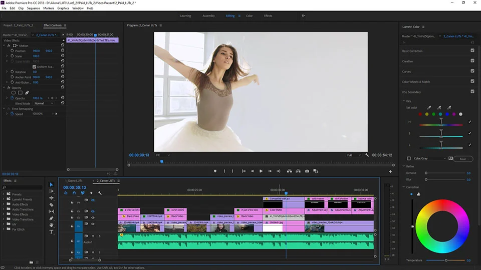 

Software Premiere Pro CC 2018 Video Editing / For Windows & Mac