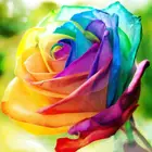 Алмазная живопись 5D сделай сам, картина с радужной розой, вышивка с живописными, полноразмерный дисплей, подарок для любимой страны, домашний декор