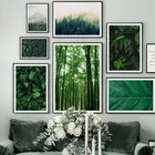 Настенная Картина на холсте с изображением зеленых лесов листьев тумана гор, скандинавские постеры и принты для гостиной, Декор, настенные картины