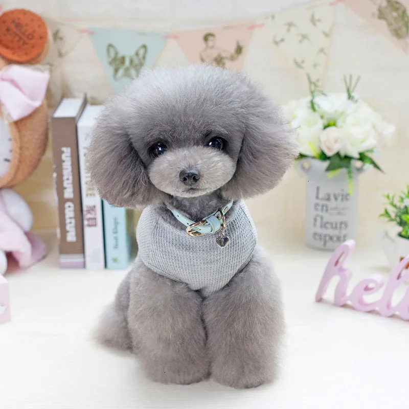 Pawstrip S-XXL летняя одежда для собак Однотонная рубашка для щенков Чихуахуа жилет для маленьких собак