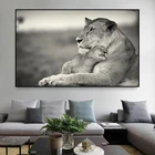 Африканские дикие львы и лев, малыш, холст, живопись, пастбище, дикая природа, плакаты и печать, настенное искусство для гостиной, украшение