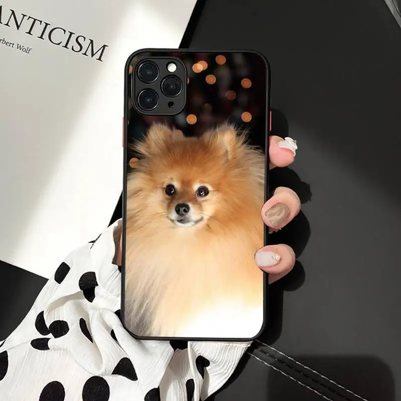Чехол для телефона с изображением Померанской собаки iphone 12 11 7 8 plus mini x xs xr pro max