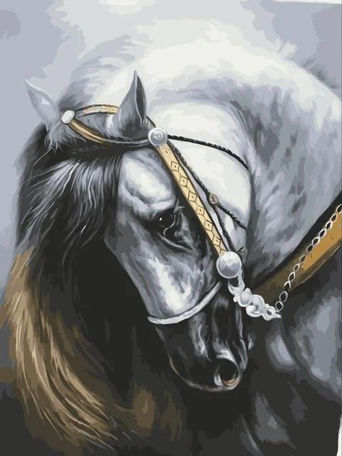 Набор для рисования по номерам на холсте 40 х50 см | Дом и сад