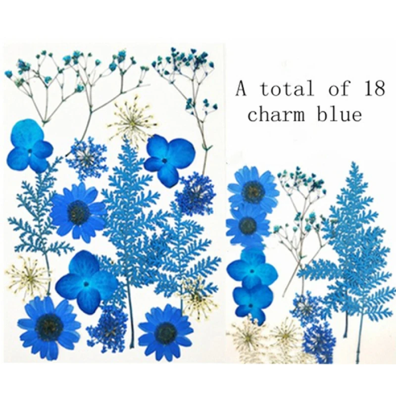 Настоящий цветок прессованный сетчатая красная наклейка на углы глаз лепесток