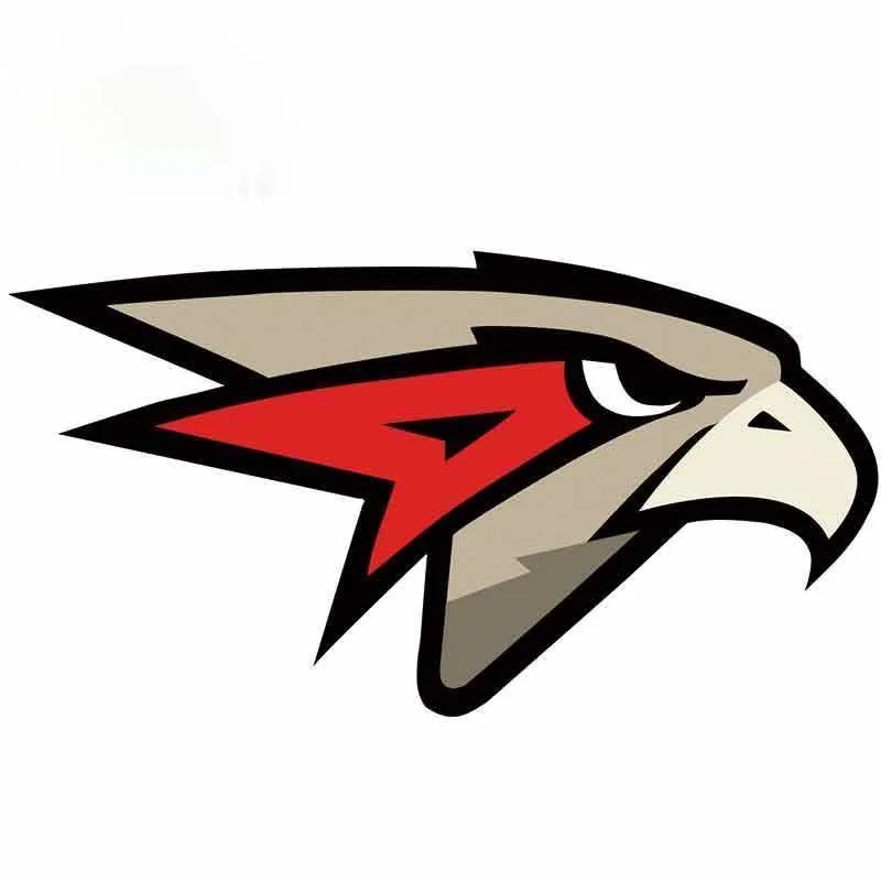 

13cmx7cm Individual bird head pattern Vinyl Car stickers Decals Motorcycle Accessories Car-Window Decorative Goods PVC