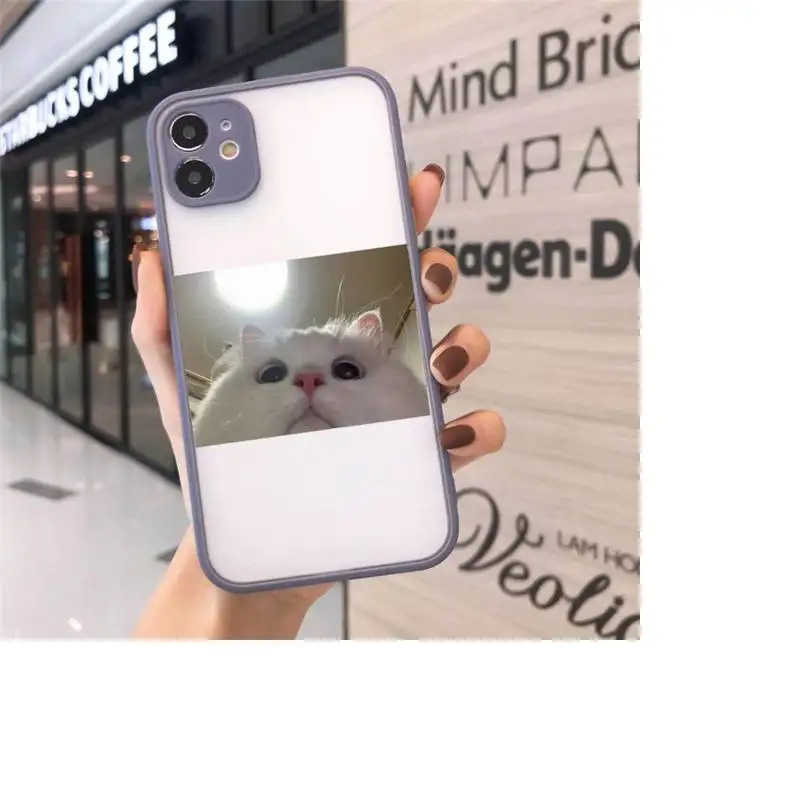 

Cute Cats New Year Gifts Phone Cases Matte Transparent For iPhone 12 Mini 11 Pro XR XS Max 7 8 Plus