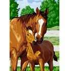 Набор для рисования по номерам на холсте Лошадь, без рамы