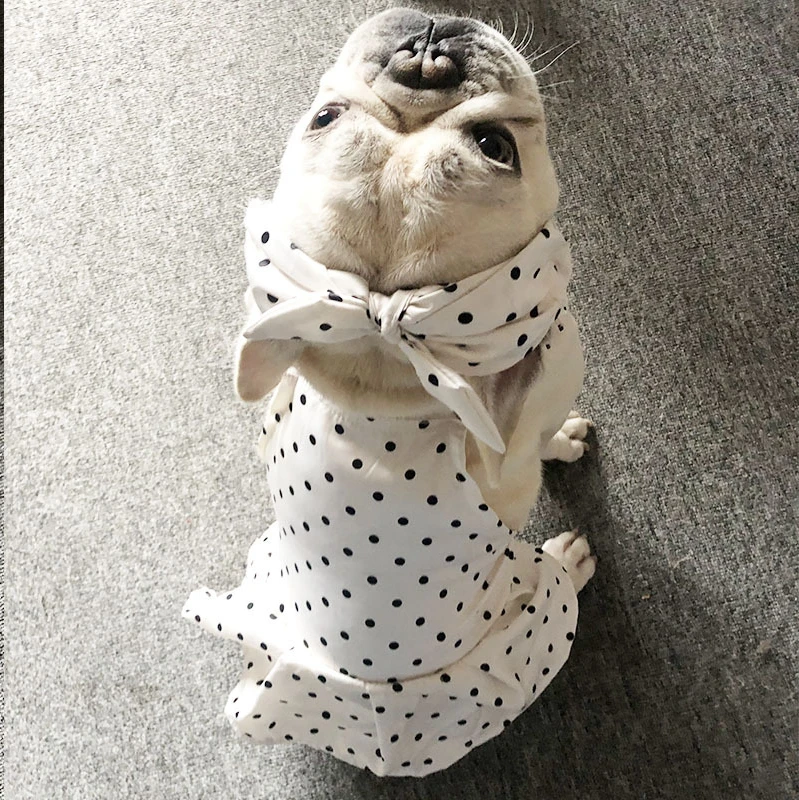 Одежда для собак Тедди fadou bully наряд маленьких и средних модный бренд милые летние