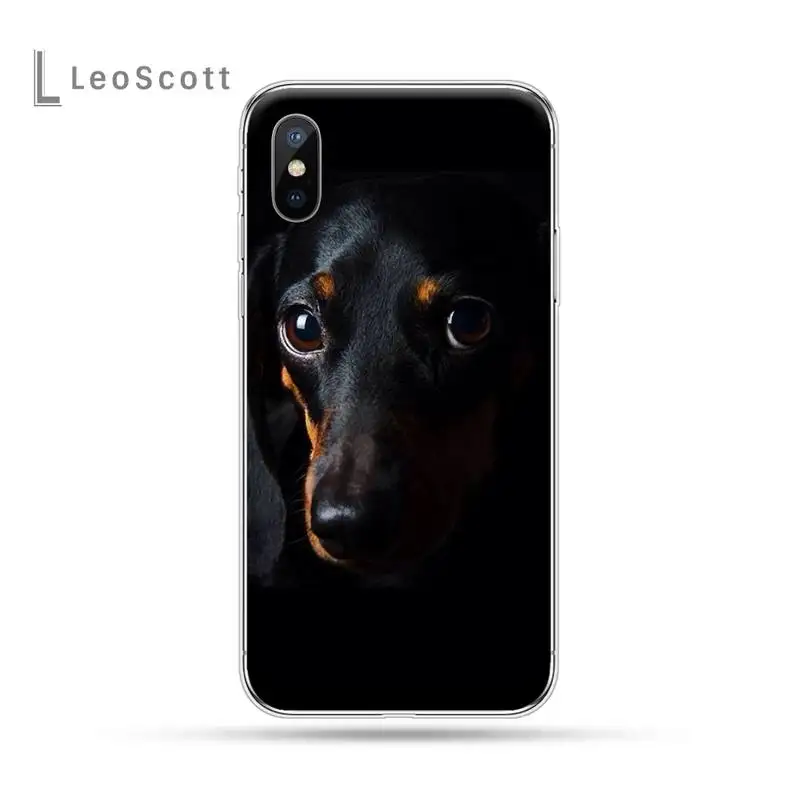 

dachshund dog puppy animal Phone Case For iphone 12 5 5s 5c se 6 6s 7 8 plus x xs xr 11 pro max luxury design shell coque