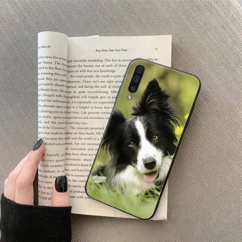 

Lovely Border collie dog Phone Case For Samsung Galaxy A 3 6 7 8 10 21 01 11 31 91 10S 20S 30S 50S PLUS Cover Funda Shell