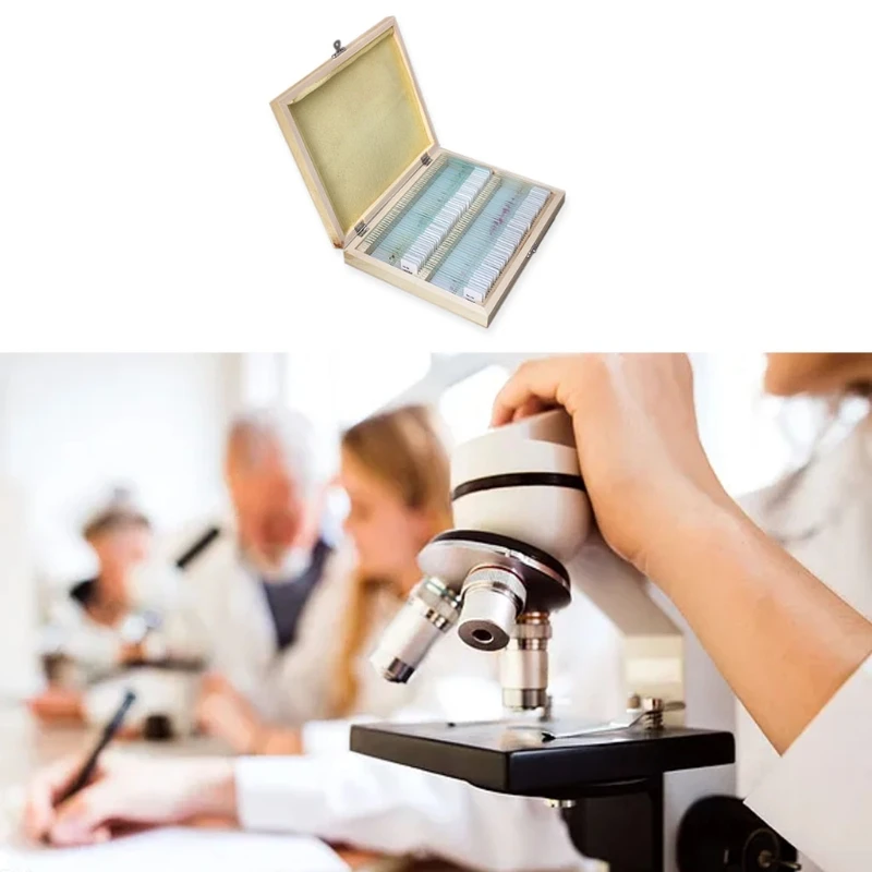 

Prepared Microscope Slides Set Professional Specimens Compatible with Kids Student Homeschool Use 25/50/100 Pcs