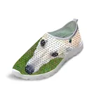 Новая дизайнерская женская обувь с принтом greyhound, светильник уличные кроссовки, Женская прогулочная обувь на плоской подошве, снайперы для женщин