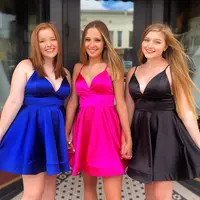 Short Hot Pink /Blue/Black Vestidos Cocktail Dresses Satin Plus Size Sexy Spaghetti Strap Backless Mini Homecoming Dress