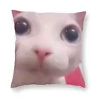 Это Bingus 276 Подушка Dakimakura чехол для подушки, шелковые наволочки для подушек, наволочки 50x50