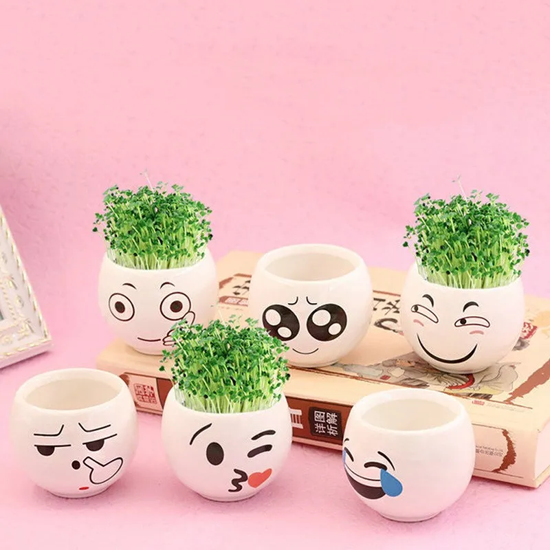 

Cute Expression Ceramic Small Flower Pots DIY Planter Succulent Plants Bonsai Pots Desktop Ornaments Home Office Vases Decor