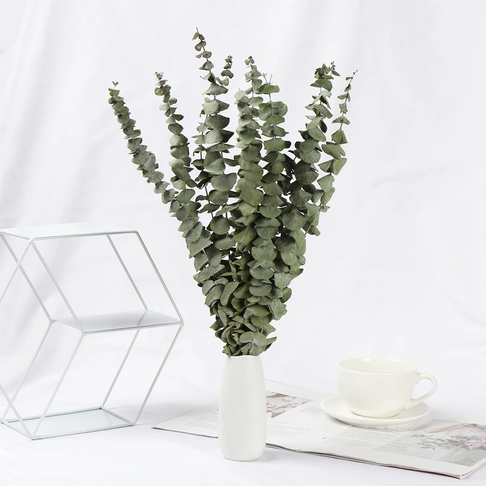 Букет натуральных сушеных эвкалиптов букет из свежих цветов натуральные зеленые