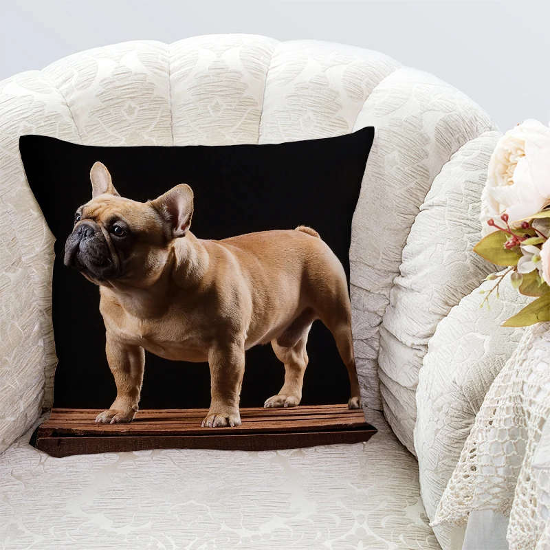 

Various sizes pillow cover interesting Sofa Bed Home Decorative Pillowcases