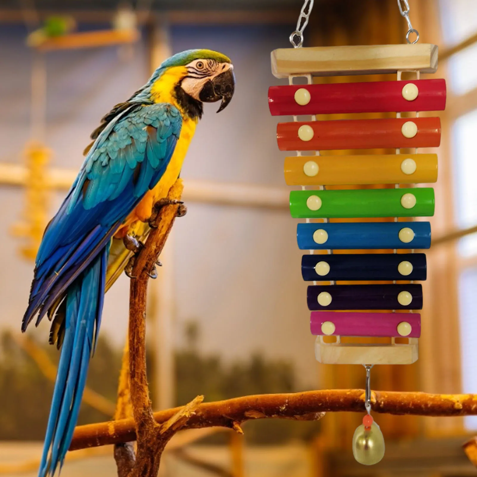 

Parrot Educational Chicken Xylophone Toy For Hens Suspensible Wooden Chicken Coop Chew Pecking Toy Macaw Training Play