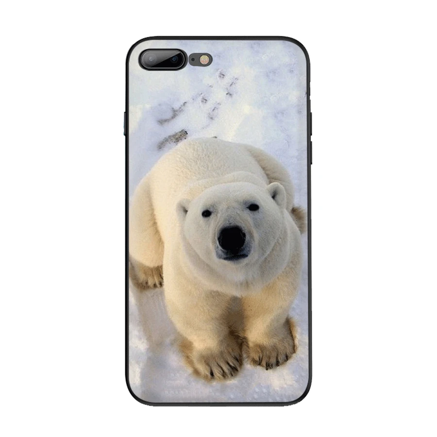 Чехол для мобильного телефона TPU iPhone 11 Pro X XR XS Max 7 8 6 6s Plus SE 5 5S чехол животное белый