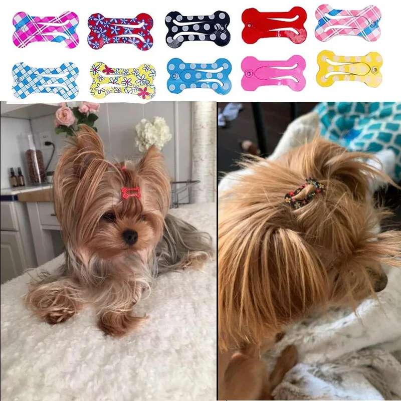 

10pcs Small Snap Hair Clips Pet Hairpin Dog Cat Puppy Hair Grooming Accessories Bone Shape Random Color Pet Accessories