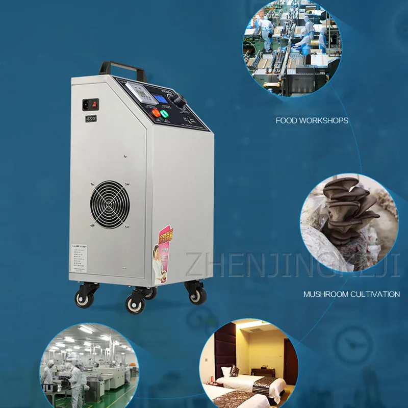 10 г генератор озона концентратор кислорода Пищевая Фабрика фермы машина