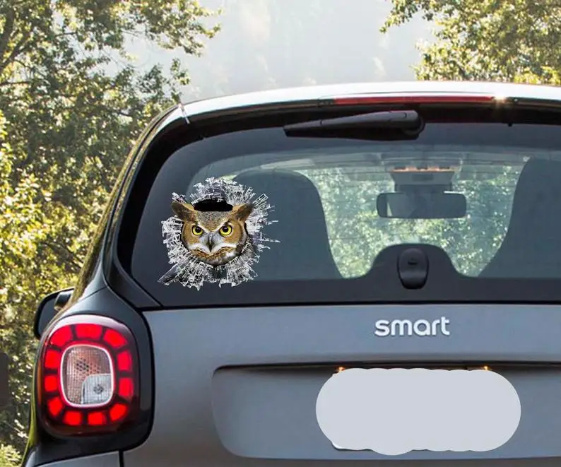 

2021 Owl window sticker , owl window decal, laptop sticker, funny decal, owl decal