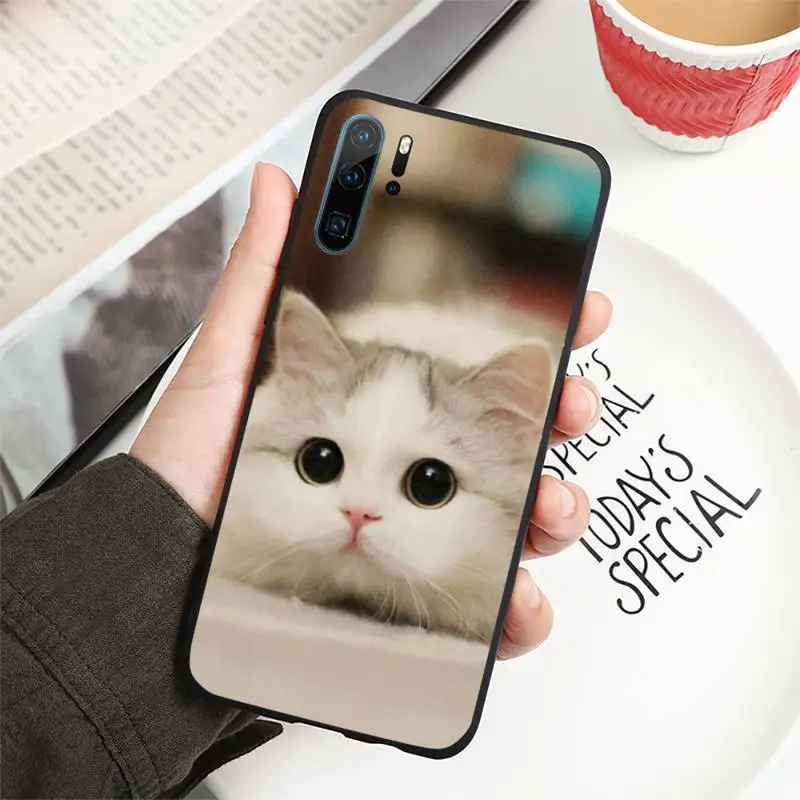 

Cartoon cute cat animal Phone Case For Huawei P40 P20 P30 lite Pro P Smart 2019 Mate 40 20 10 Lite Pro Nova 5t