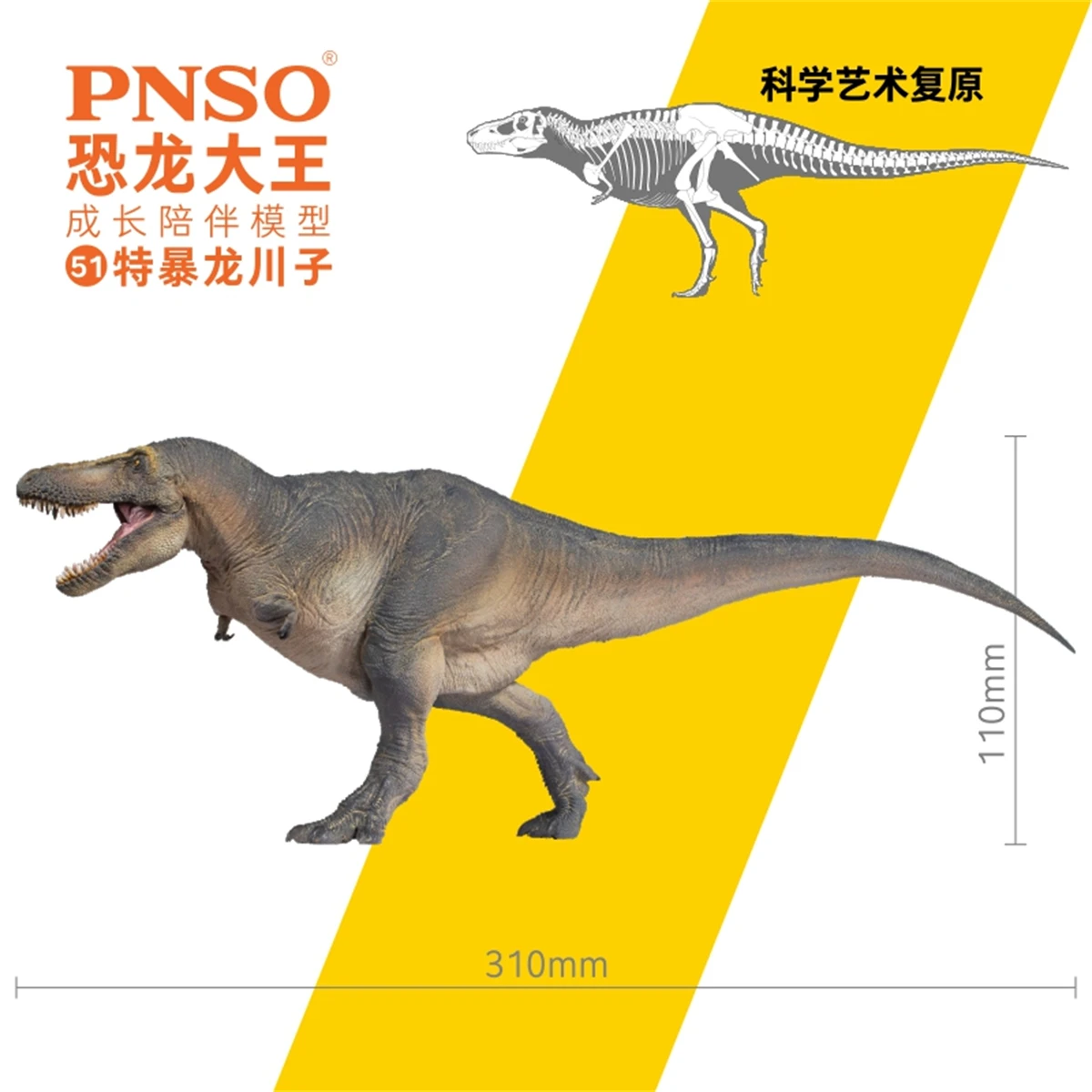 &iexcl;En STOCK! PNSO Tarbosaurus Chuanzi modelo tiranosaurio, dinosaurio tiranosaurio, Colector de animales, decoraci&oacute;n, juguete para regalo para adultos-4