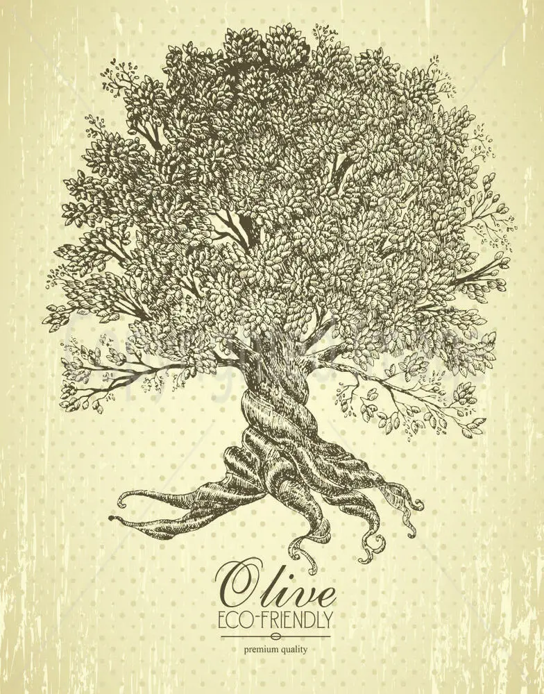 

Cartel de hojalata de METAL, placa de pared, árbol de Olivo