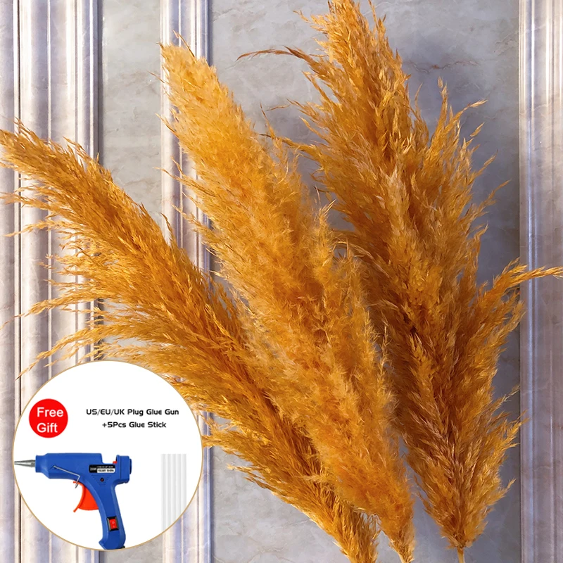 

Пампасная трава ins, розовая, синяя, 150 см, подарок на свадьбу, домашний декор, сушеные цветы, цветы для сада, 10 шт., большой размер, быстрая доста...