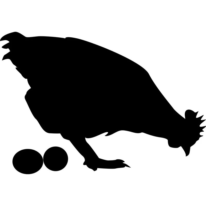 

Интересный Виниловый фон для стайлинга автомобиля с изображением цыплят и яиц, черный/серебристый цвет, 10,6 см