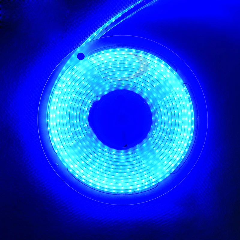 Суперъяркая Светодиодная лента 5 м 12 В постоянного тока мм 3014 SMD высокой яркости 120