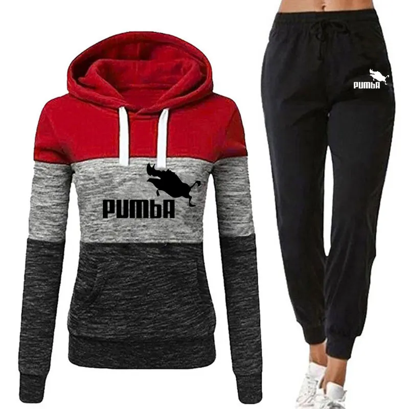 

2 Piece Set Tracksuit Women Pullover Hooded Sweatshirt and Pants Casual Outfits Female Suits Autumn Spring Fleece Hoodies S-3XL