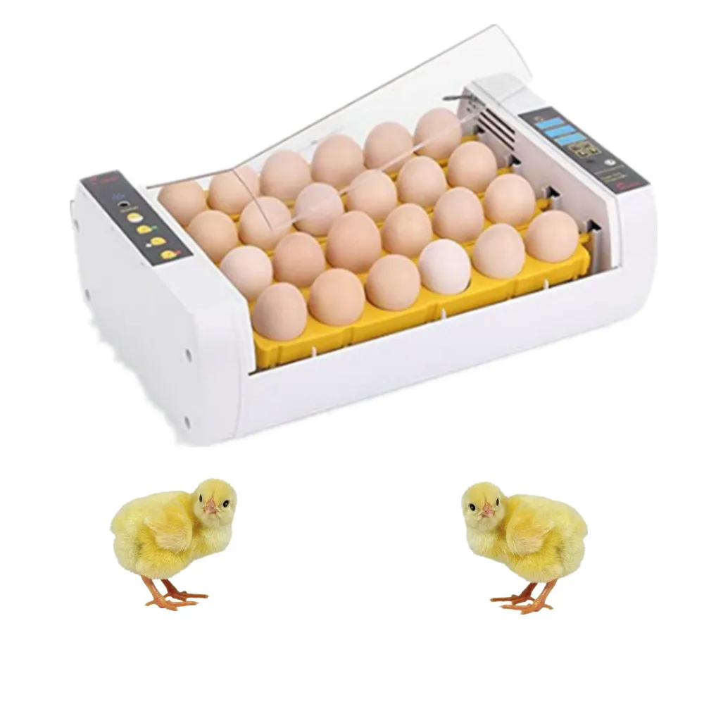 price incubator d egg | Канцтовары для офиса и дома