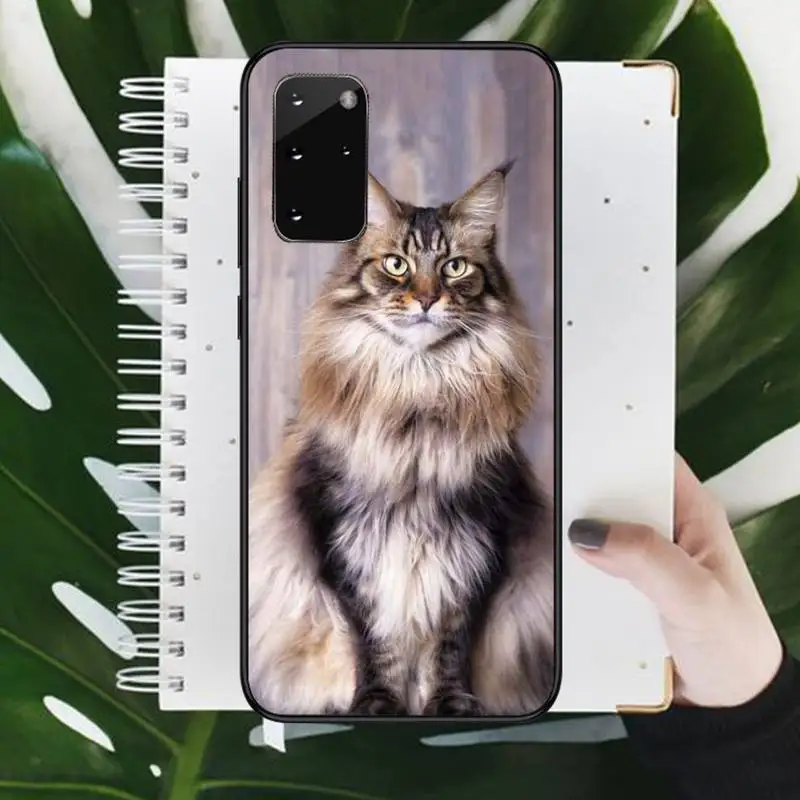 

pet maine coon cat animal Phone Case For Samsung galaxy S 9 10 20 A 10 21 30 31 40 50 51 71 s note 20 j 4 2018 plus