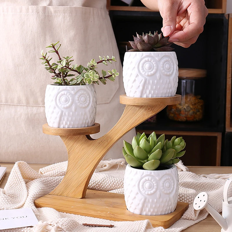 

Succulent Plant Flower Pot Holder Ceramic Owl Pumpkin Pattern Pot Treetop Shaped Bamboo Shelf Pot Planter Set Home Decoration