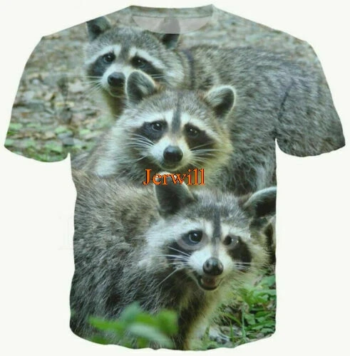 2020 милые животные Енот 3D печать Повседневная футболка для мужчин и женщин