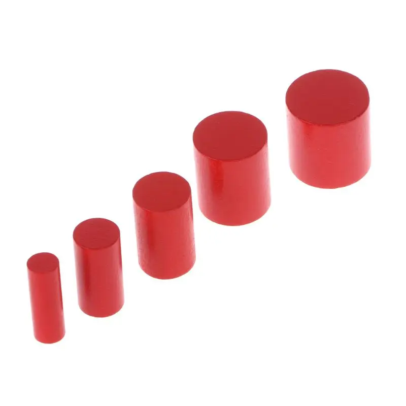

Montessori Wooden Cylinders Educational Toys Kids Children Early Teaching Gift