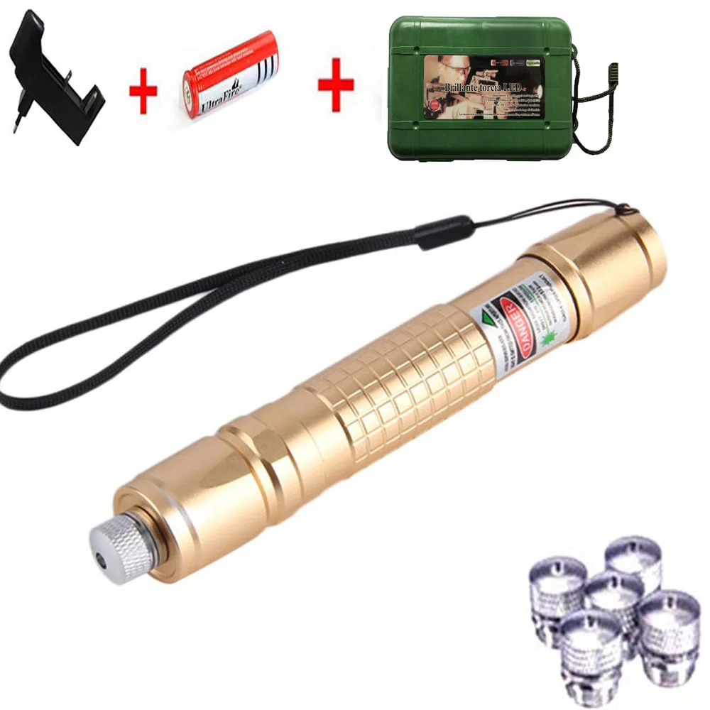 Gold laser D Высокая Мощная зеленая лазерная указка 5 МВт Лазеры прицел лазер ручка горящая спичка с лазерами+ аккумулятор 8650+ зарядное устройство+ коробка - Цвет: Gold laser D