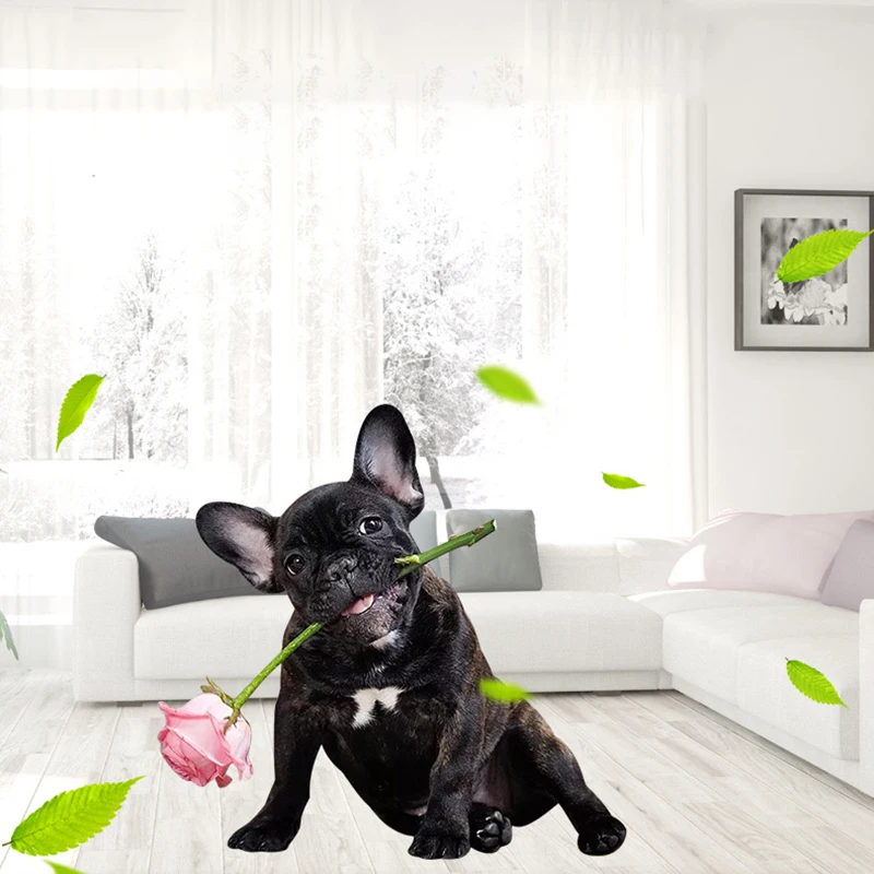 Заказная бирка для удостоверения личности собаки Персонализированная