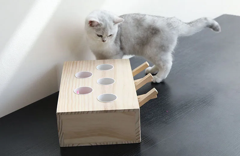 HIPET интерактивные деревянные игрушки для кошек, забавные игрушки для кошек, игрушки для кошек, обучающие игрушки для кошек с 3/5 отверстиями