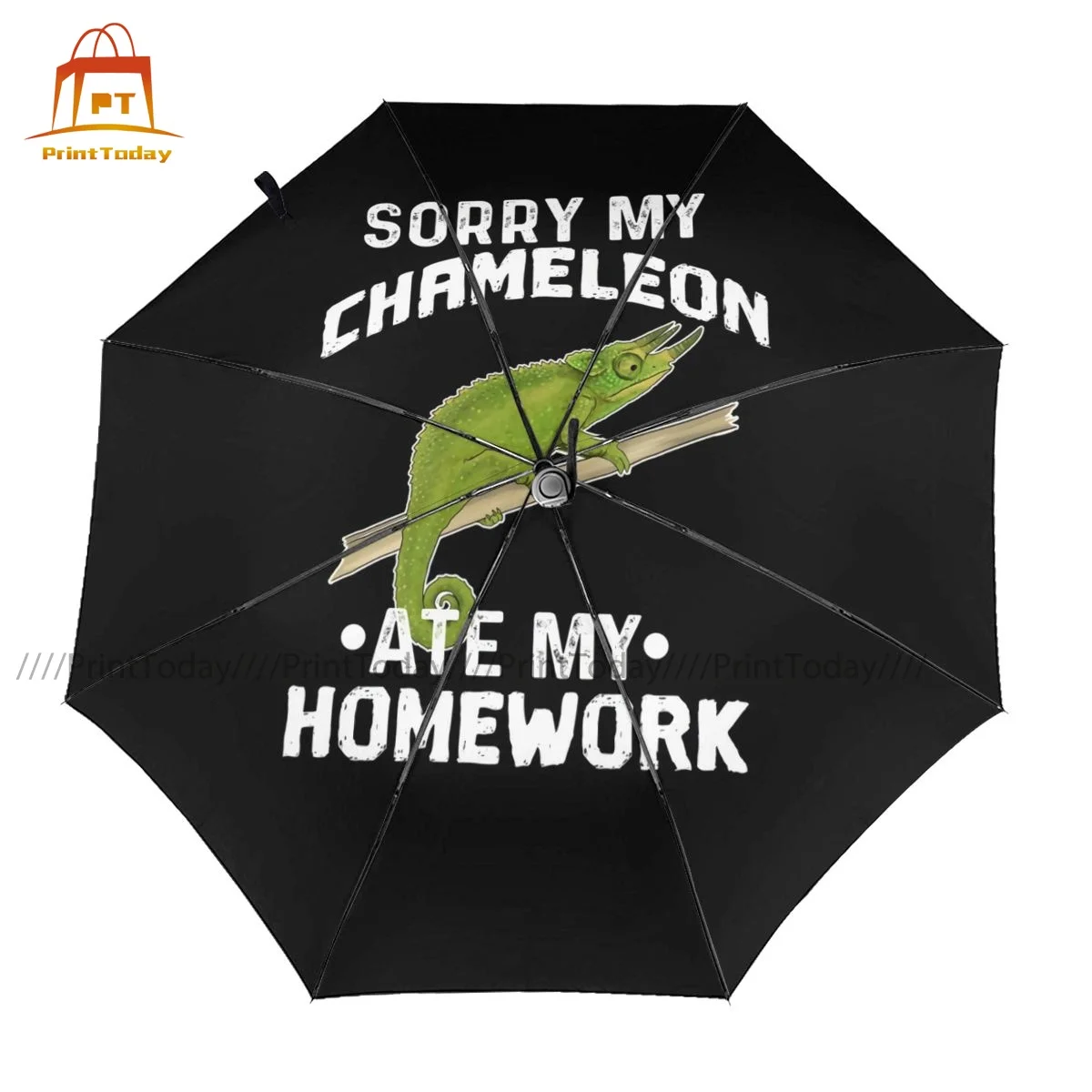 

Chameleon Umbrella Automatic Waterproof Umbrella Elegant Design Outside Portable Umbrella