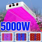 Светодиодный ная фитолампа полного спектра для выращивания растений, 5000 Вт, 220 В