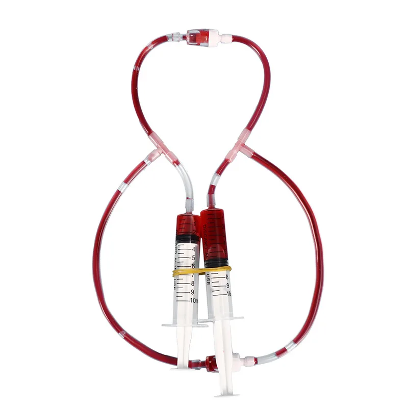 Модель циркуляции кровеносных сосудов человека биологические капиллярные