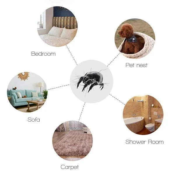 

3pcs/lot Anti Mites Pads Cushion Bed Bug Protector Dust Mite Killing Pad Home Hotel Killing Small Worms Baby Protect