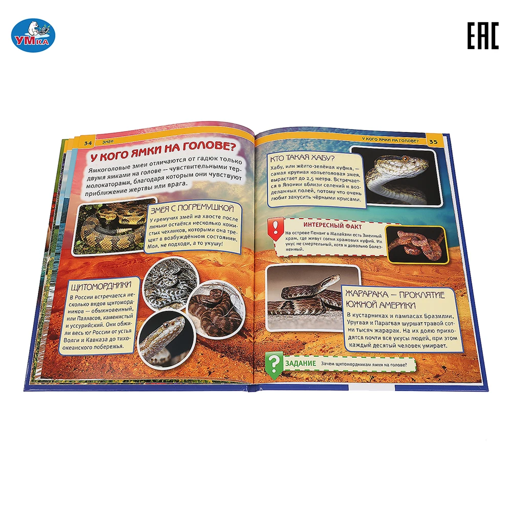 Энциклопедия Умка Змеи (с развивающими заданиями) твердый переплет 48 листов