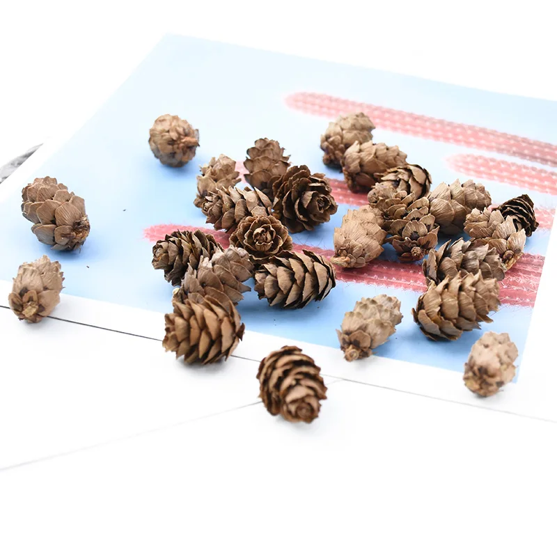 

30 Pieces Pine Cone Christmas Home Decorations Wedding Scrapbooking Flowers Artificial Plants Wholesale Diy Gifts Box Garland