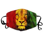 Дышащая Пылезащитная маска для рта с регулируемой заушной петлей, теплая ветрозащитная многоразовая моющаяся маска на половину лица, Reggae Rasta, флаг, Лев