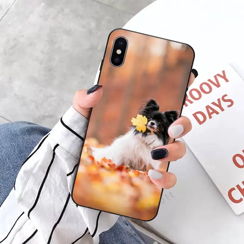 

Cute animal papillon Phone Case for iPhone 11 12 mini pro XS MAX 8 7 6 6S Plus X 5S SE 2020 XR