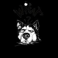 funny expression husky dog patch clothes fabric heat transfer printing baby t shirt girl iron on patches for clothing stickers